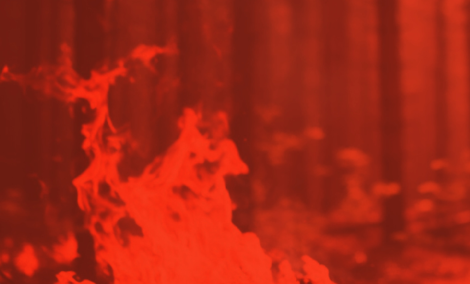 Bee2Fire Amazónia
